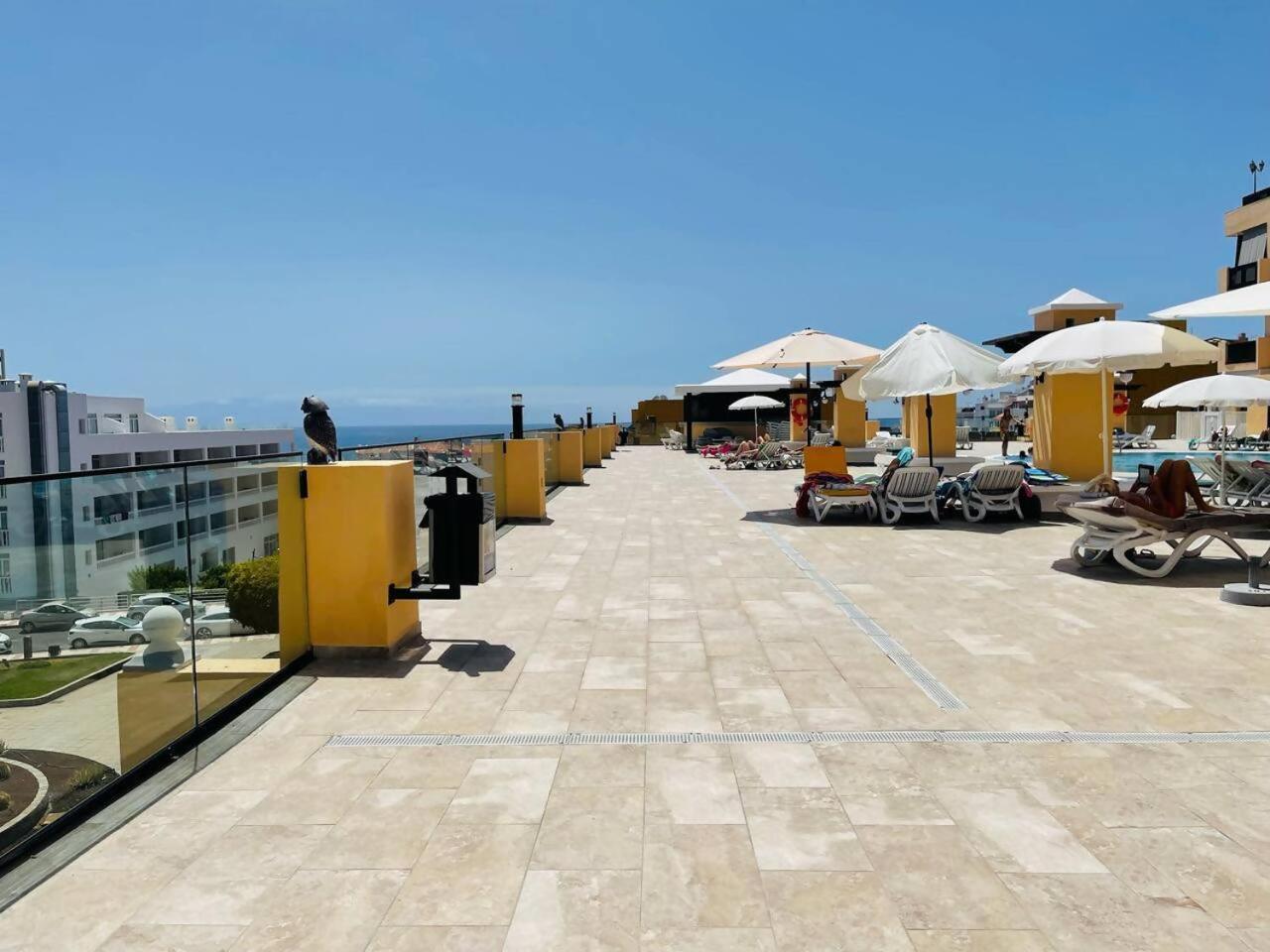 Apartment Your Sunset Sunny Place In Tenerife